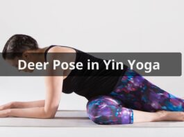 Deer Pose Yin Yoga