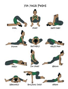 Yin Yoga For Beginners