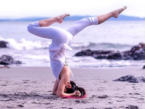 Examples of Common Advanced Hatha Yoga Poses