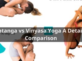 Ashtanga vs Vinyasa Yoga A Detailed Comparison