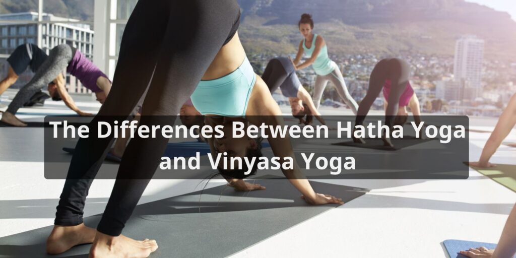 Difference Between Hatha Yoga And Vinyasa | Meditate Motion