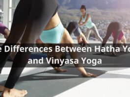 The Differences Between Hatha Yoga and Vinyasa Yoga