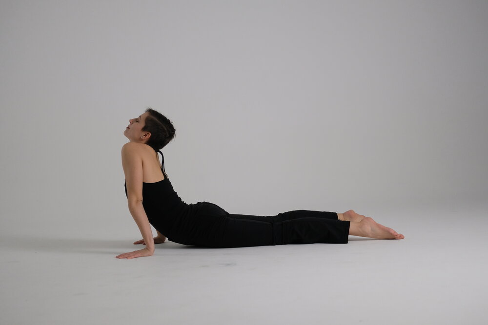 Modifications for Seal Pose Yin Yoga