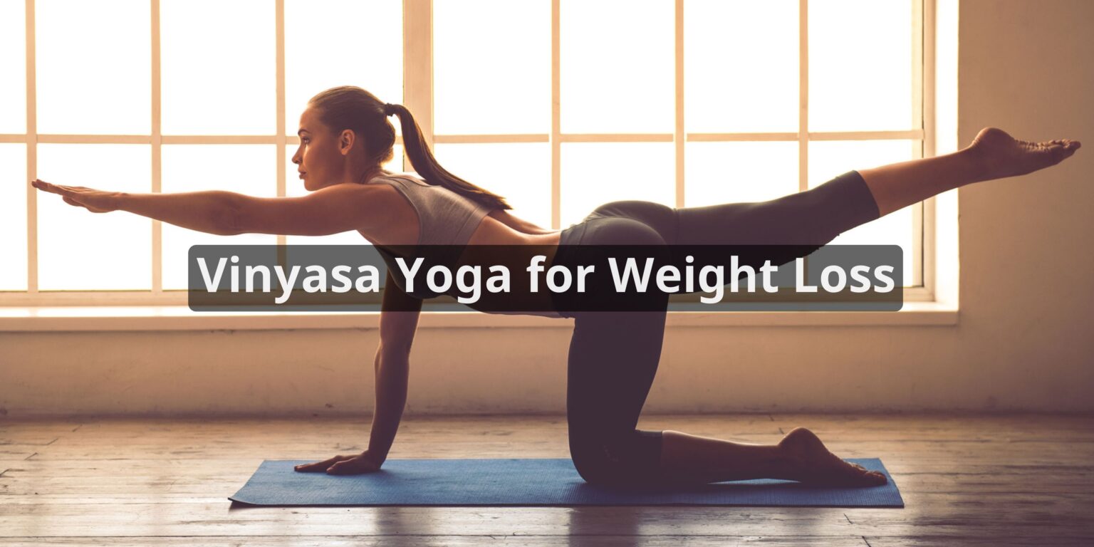 Explore Vinyasa Yoga Weight Loss | Meditate Motion