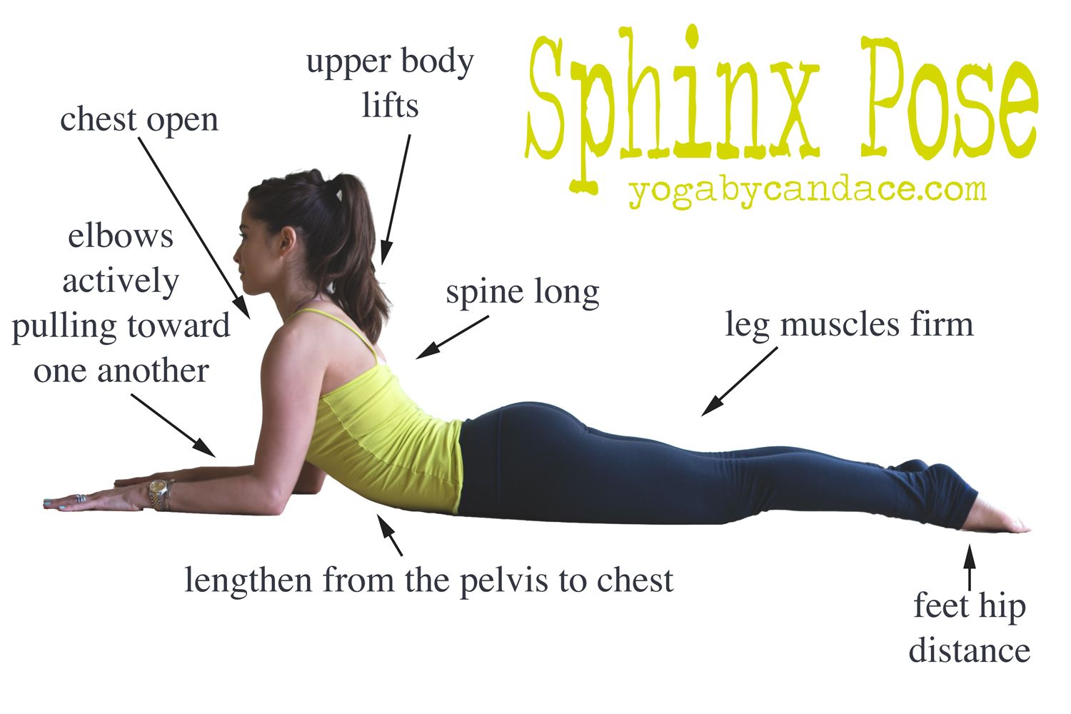 How to Practice Yin Yoga Sphinx Pose