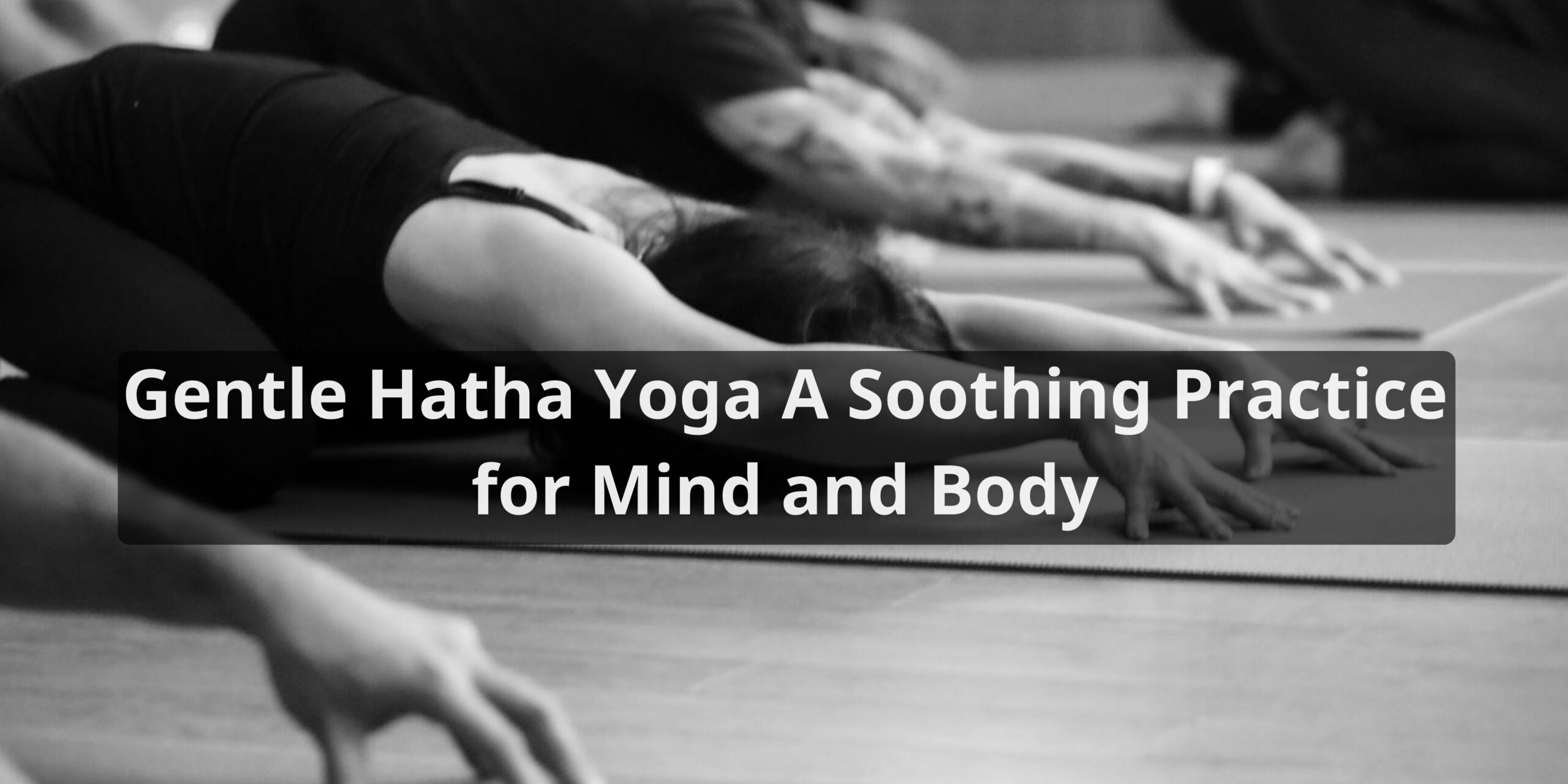 Gentle Hatha Yoga A Soothing Practice for Mind and Body