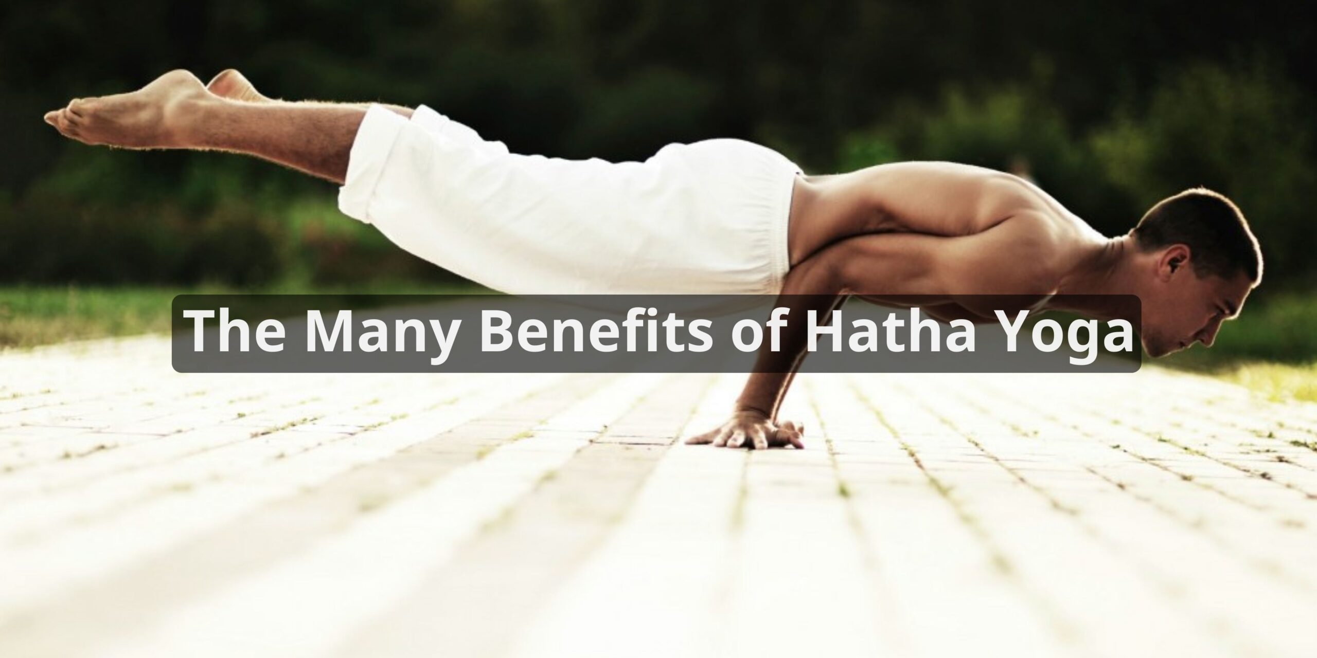 The Many Benefits of Hatha Yoga