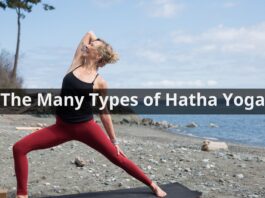 The Many Types of Hatha Yoga