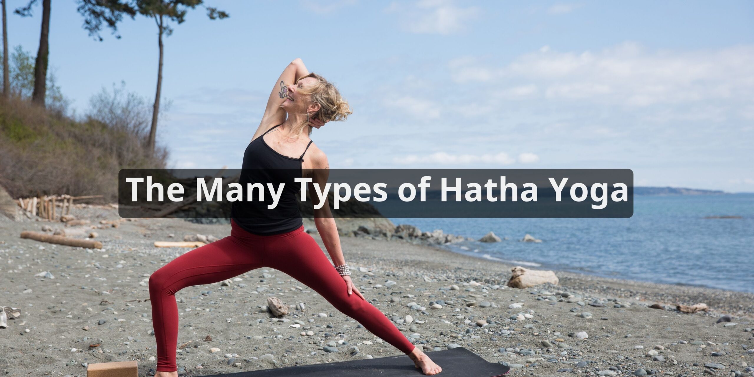 The Many Types of Hatha Yoga