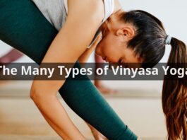 The Many Types of Vinyasa Yoga